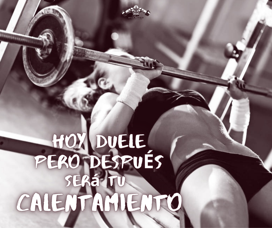Mr.Ripped Suplementos Deportivos | Guadalajara