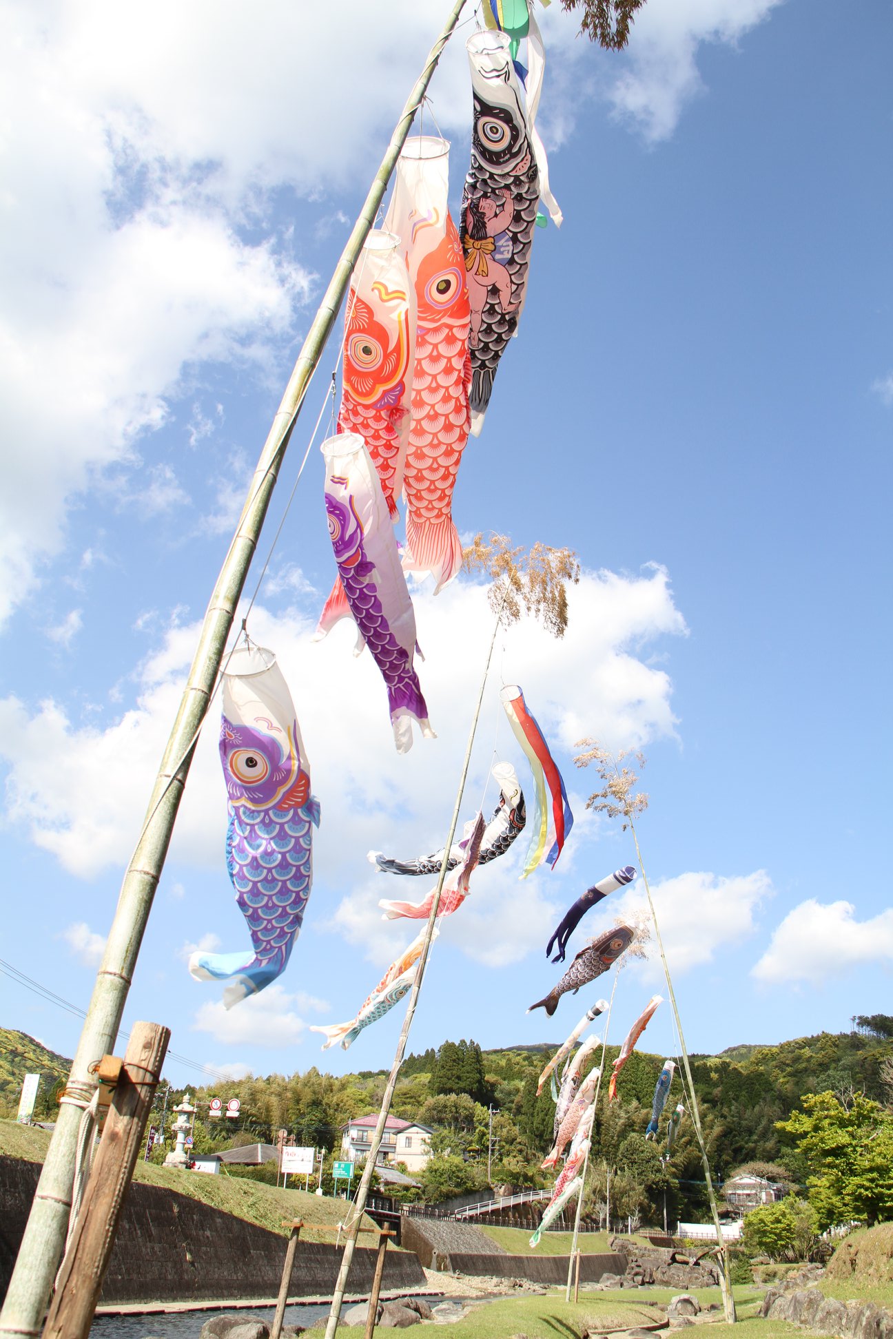 毎年恒例！武家屋敷のこいのぼり／ 今年もせせらぎ公園にてこいのぼり