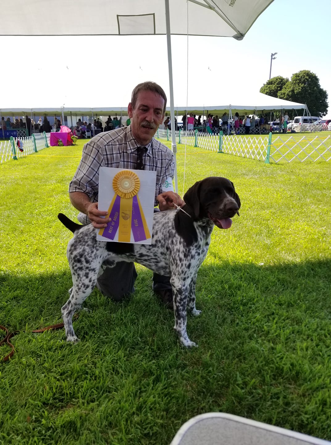This dog here is on... - Hotwired German Shorthaired Pointers | Facebook