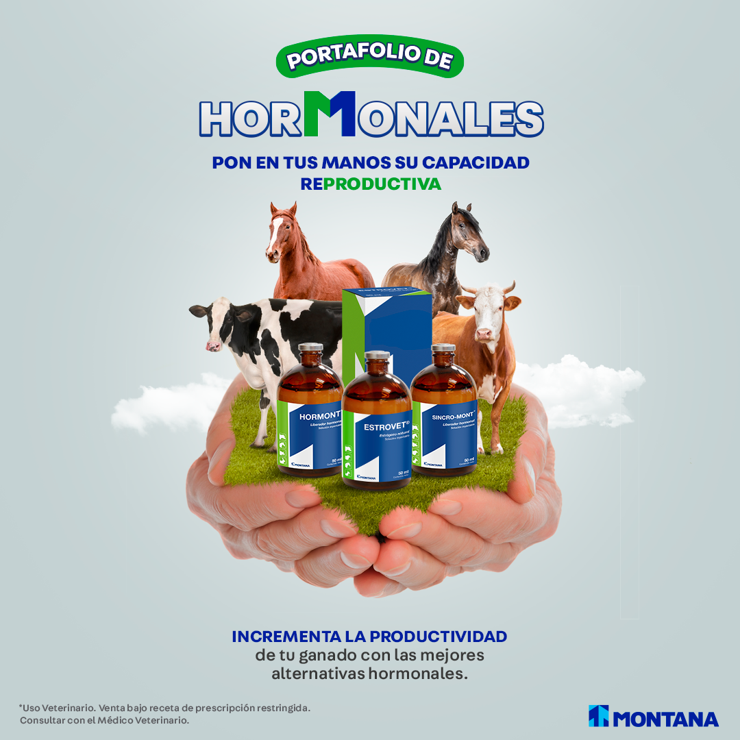 Montana Oficial - ¡𝐇𝐨𝐲 𝐪𝐮𝐞𝐫𝐞𝐦𝐨𝐬 𝐩𝐫𝐞𝐬𝐞𝐧𝐭𝐚𝐫𝐭𝐞 𝐇𝐨𝐫𝐌𝐨𝐧𝐚𝐥𝐞𝐬! 𝐍𝐮𝐞𝐬𝐭𝐫𝐨 𝐧𝐮𝐞𝐯𝐨 ...