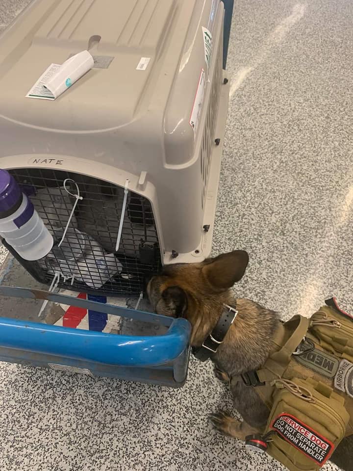 Rettinghaus K-9 - This has been a busy week for...