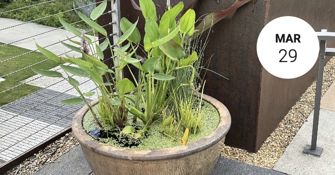 Seasonal Container Design, with Riz Reyes, An In-person Class