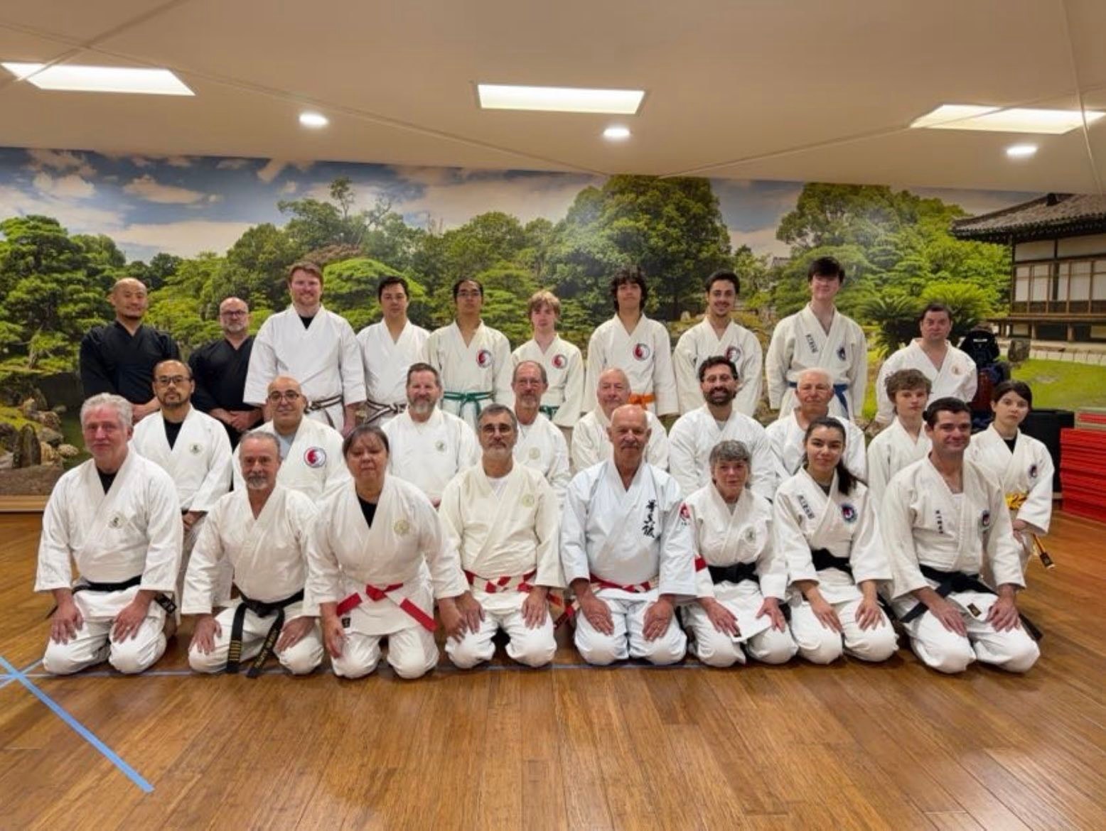 Anshin Ryu Ju Jitsu
