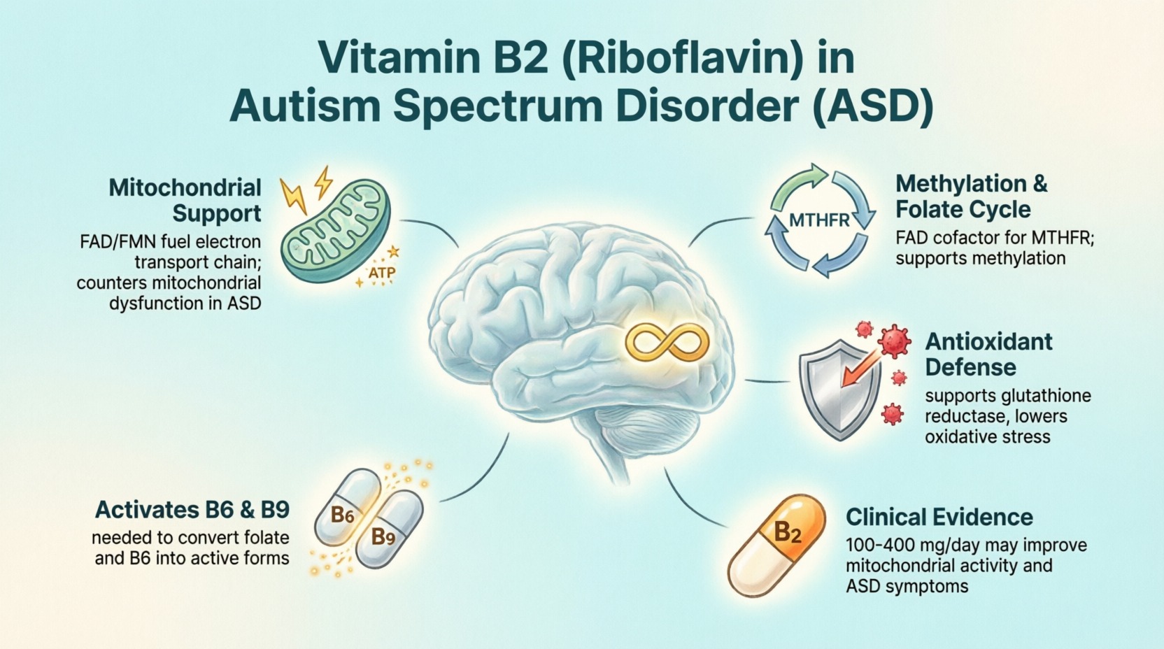 glutathione cycle b2 riboflavin essential for cycle Functional vitamin B12 deficiency requires adequate vitamin and key minerals serum for skin radiance Size:50g - $990 is bpc 157 legal
