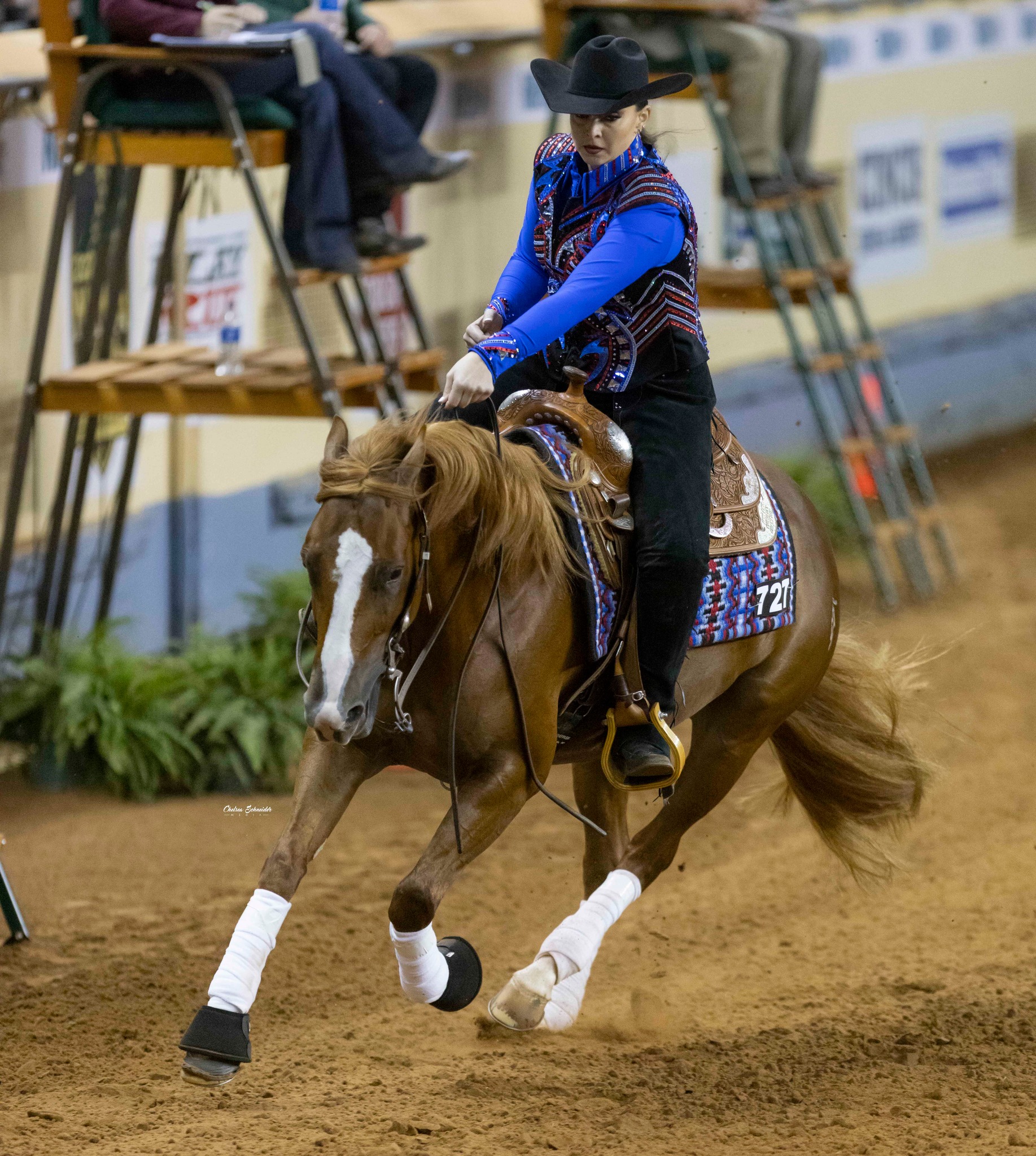 ADH-MORE bred and raised ----... - Adh mor - Big Luck Ranch