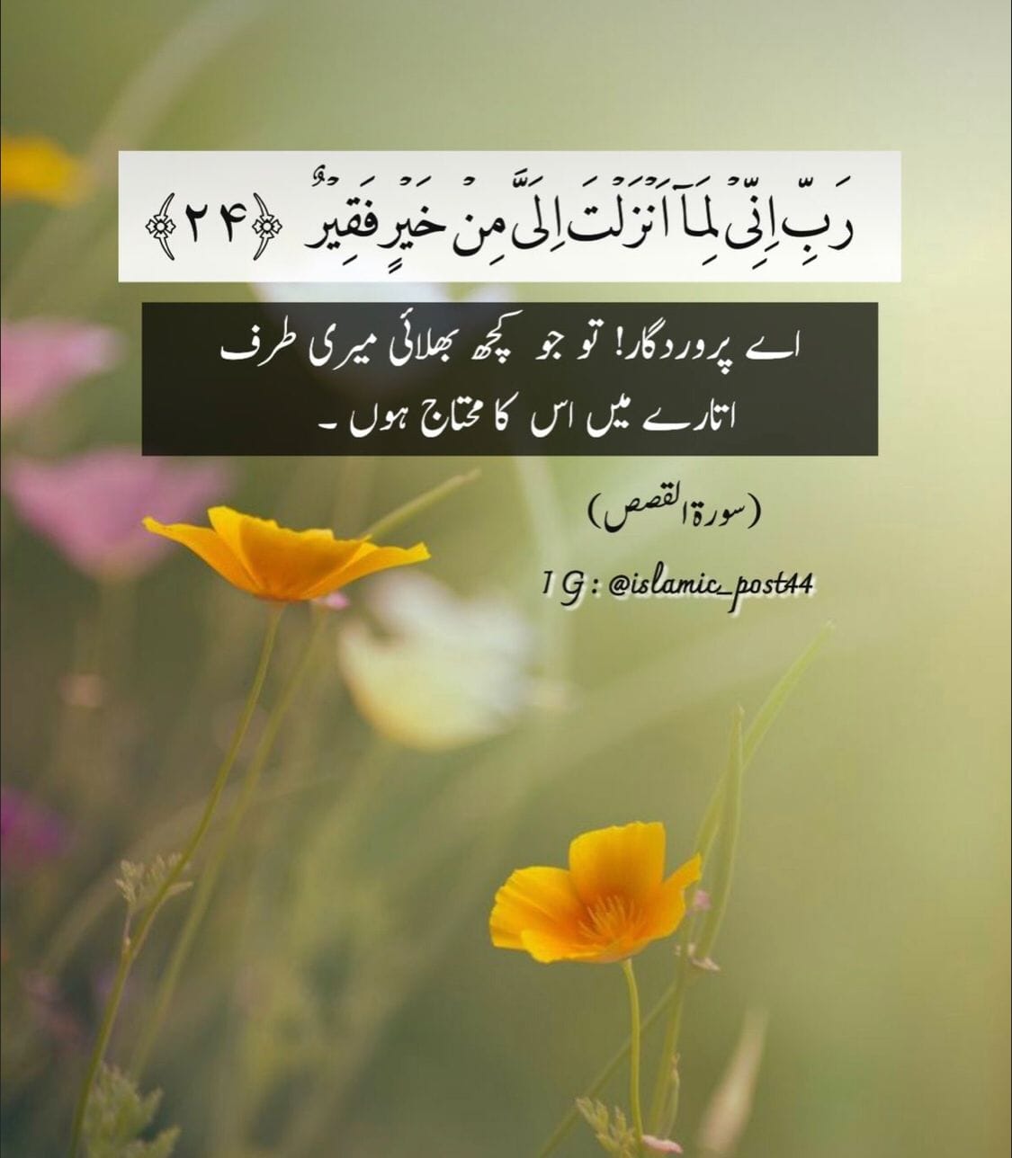 Usama Raja