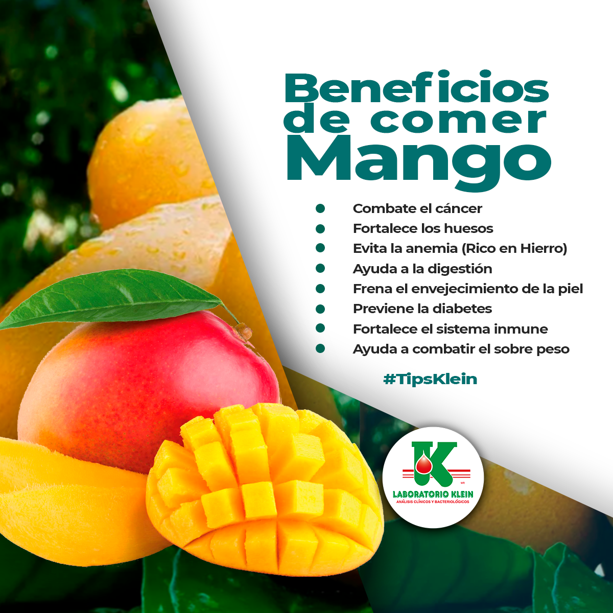 Laboratorio - El Mango 🥭 y sus Beneficios para tu Salud El Mango es una ...