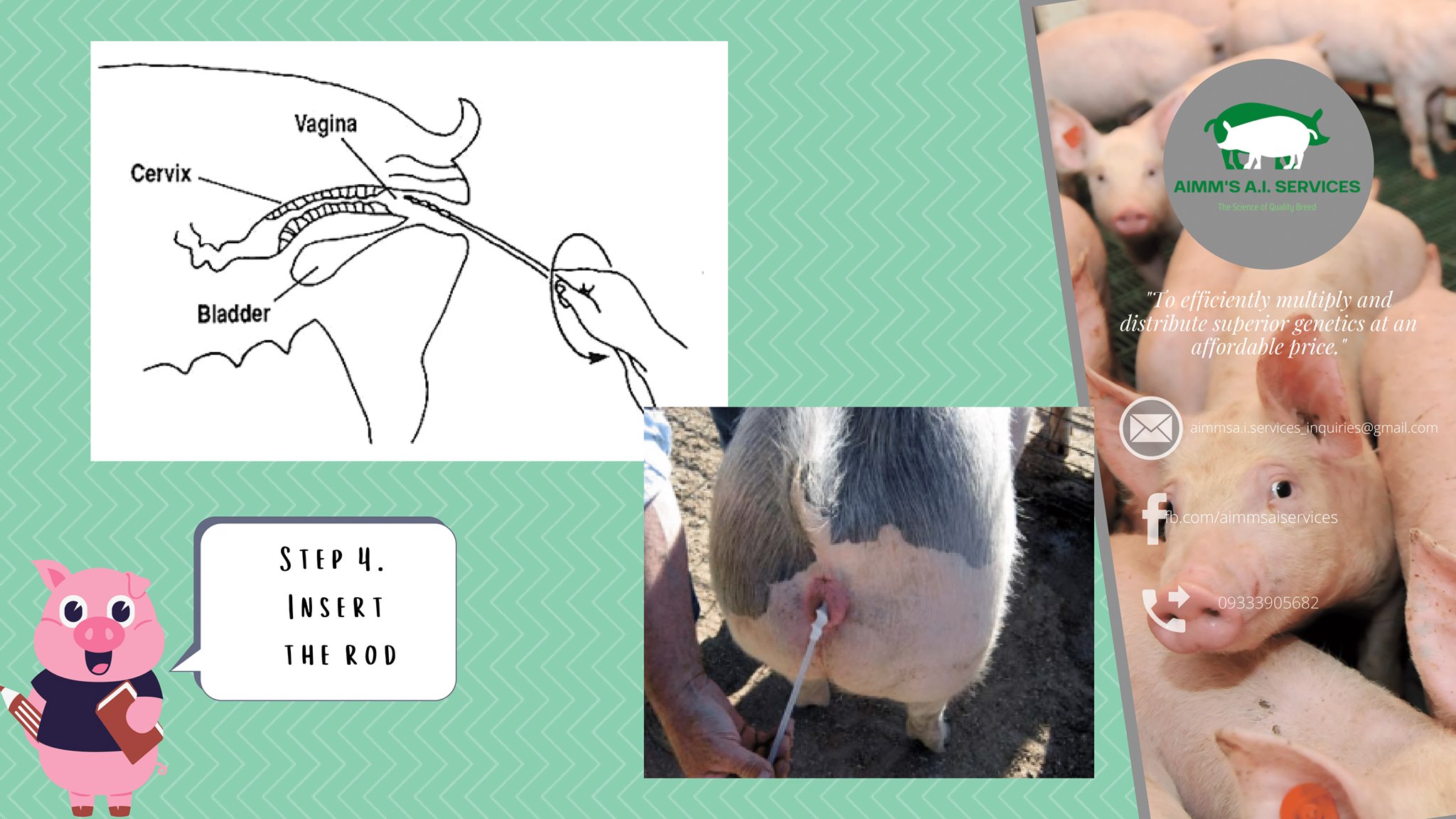 Animal Breeding Supplies 50 Pcs Artificial Insemination Dog Breeding ...