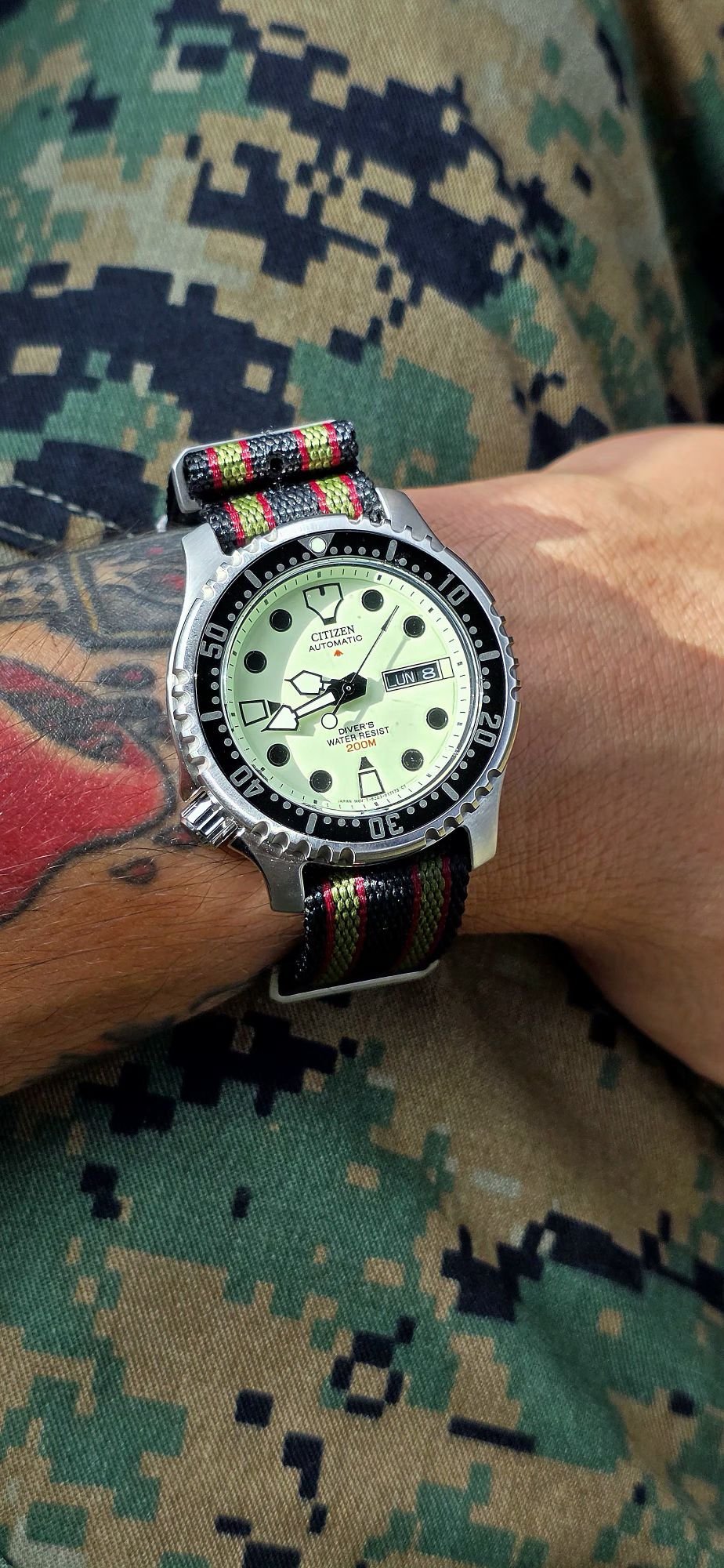 Citizen Promaster NY0040 vs Fugu black bezel dive watches