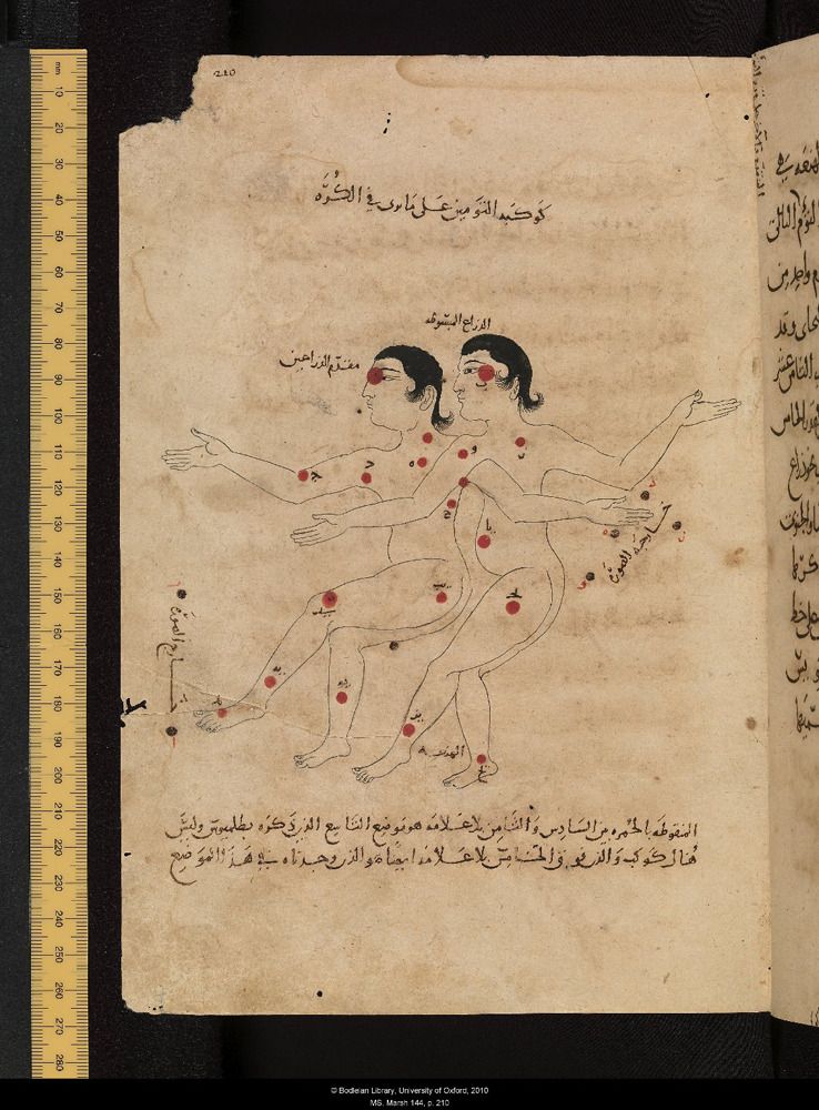 The Khemit School of Ancient Mysticism | Folio from a 12th century ...