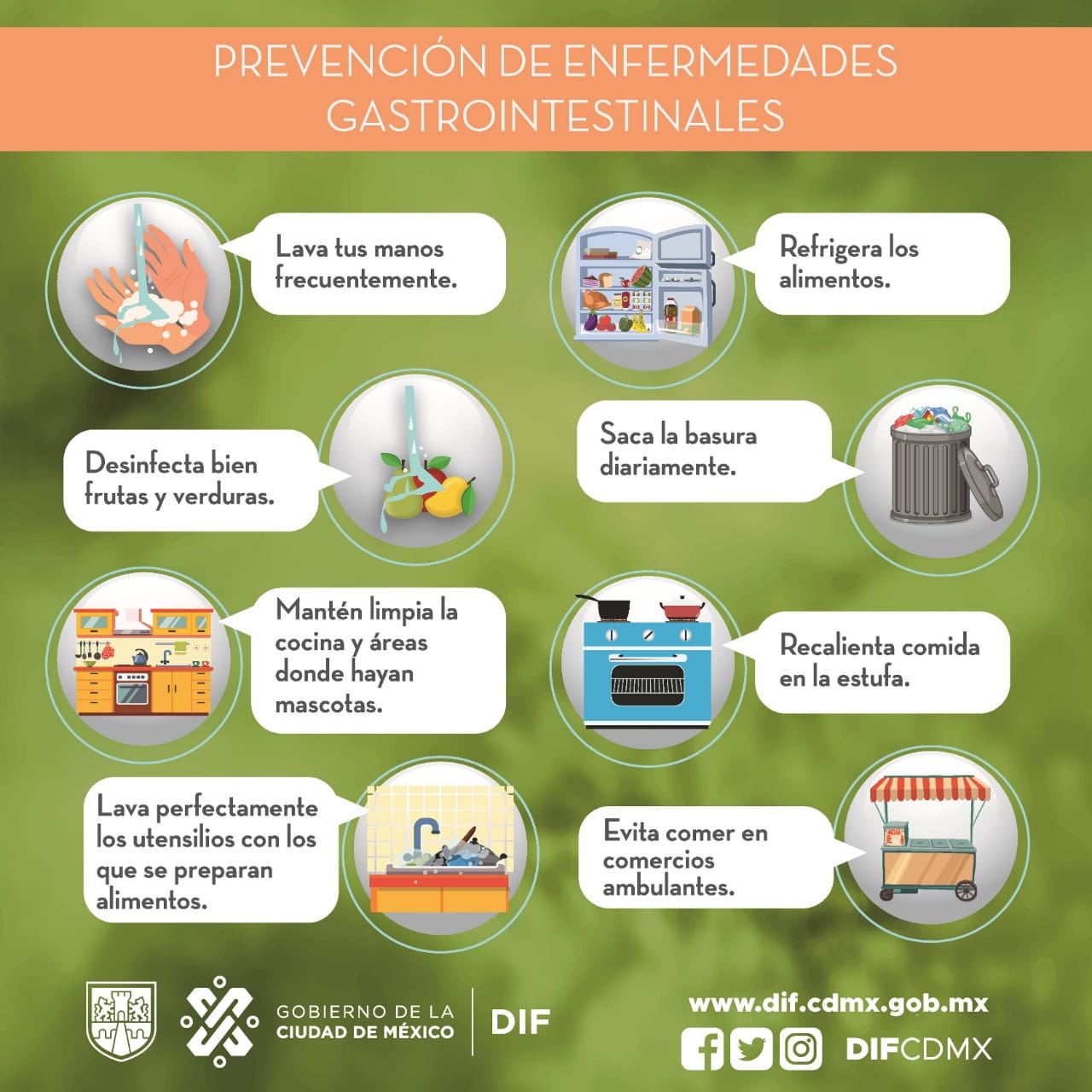 Las enfermedades gastrointestinales... - DIF Ciudad de México | Facebook