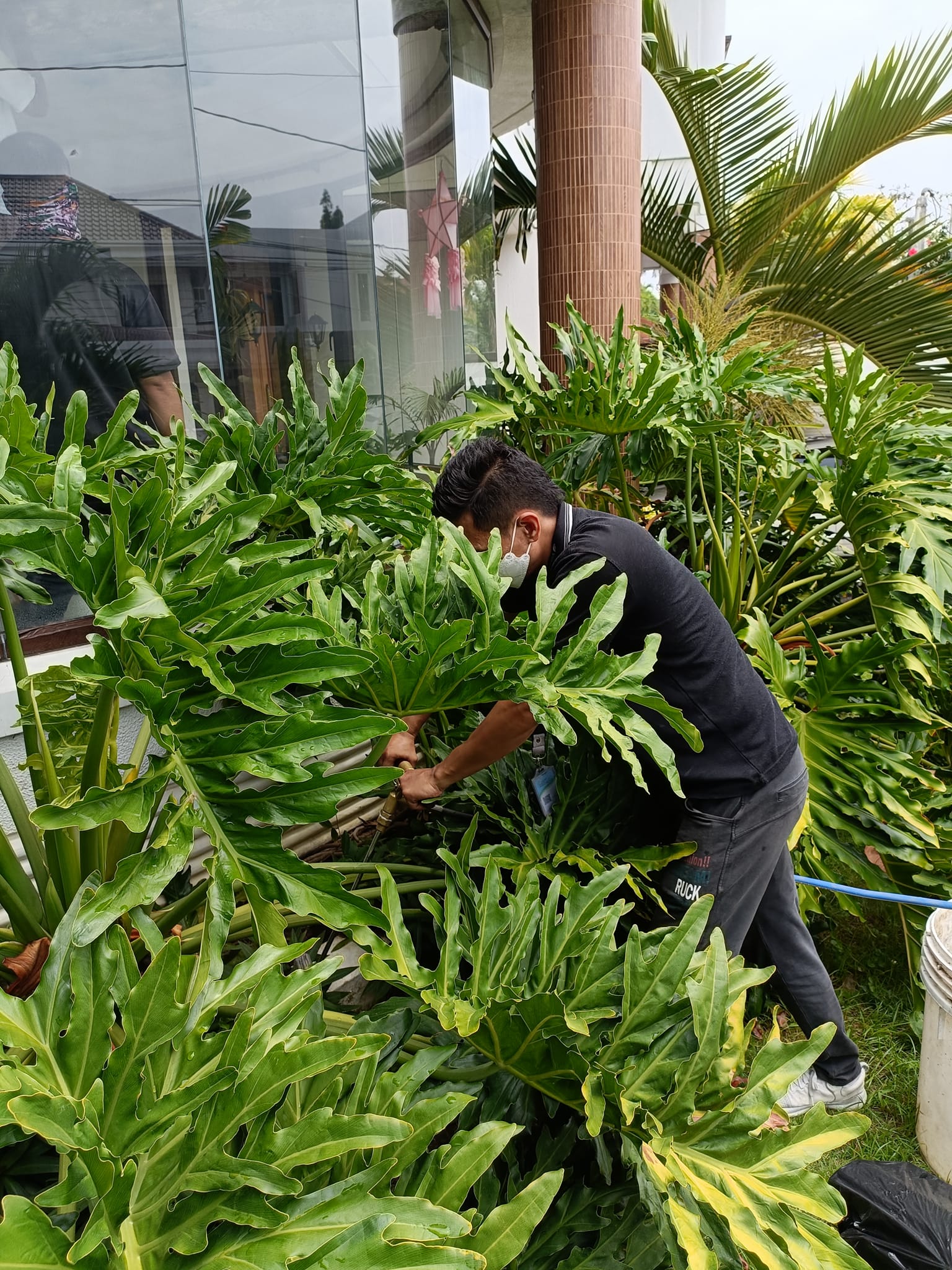 Termite Control Soil Injection Liquid... - JBV Pest Solutions