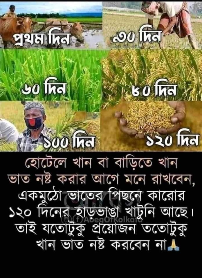 Rupsha Automatic Rice Mill