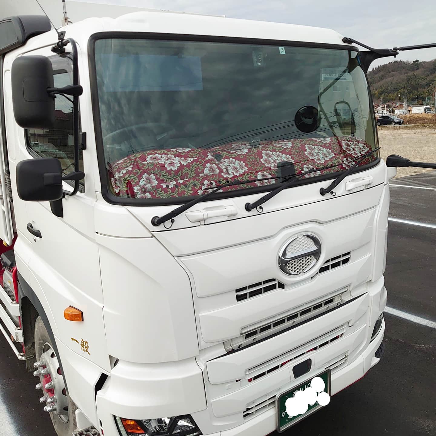 みやび桜レッド ダッシュボードマット お客様の17プロフィアに装着