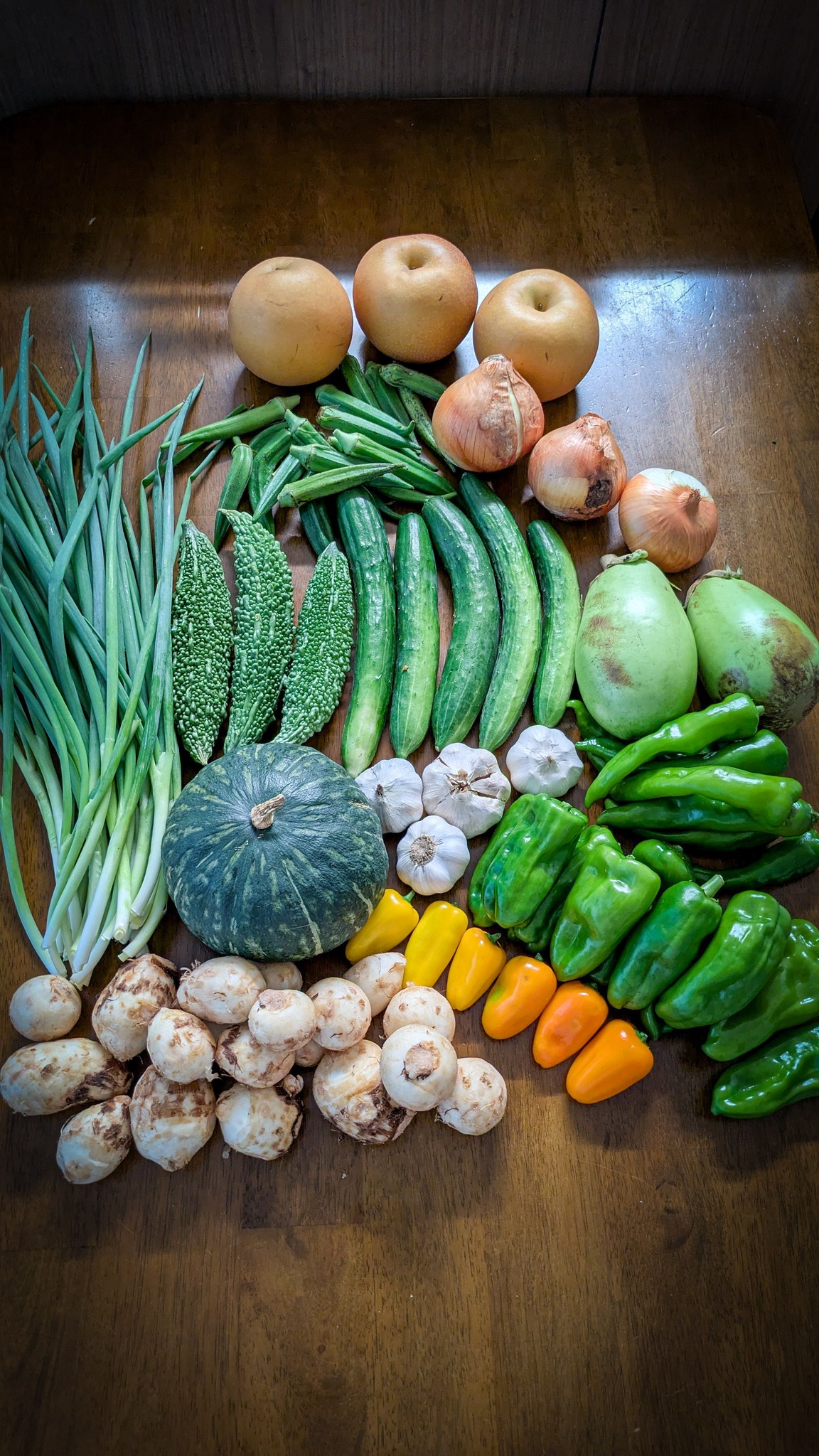 野菜 Yumera 風の谷農苑から From Kaze no Tani Farm New taro, scallions, okra