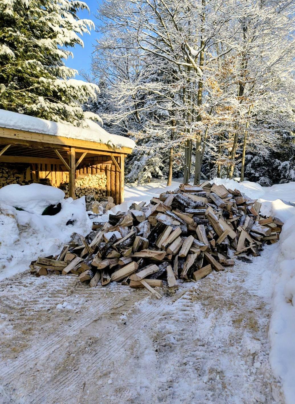 TimberMen Forest Management LLC