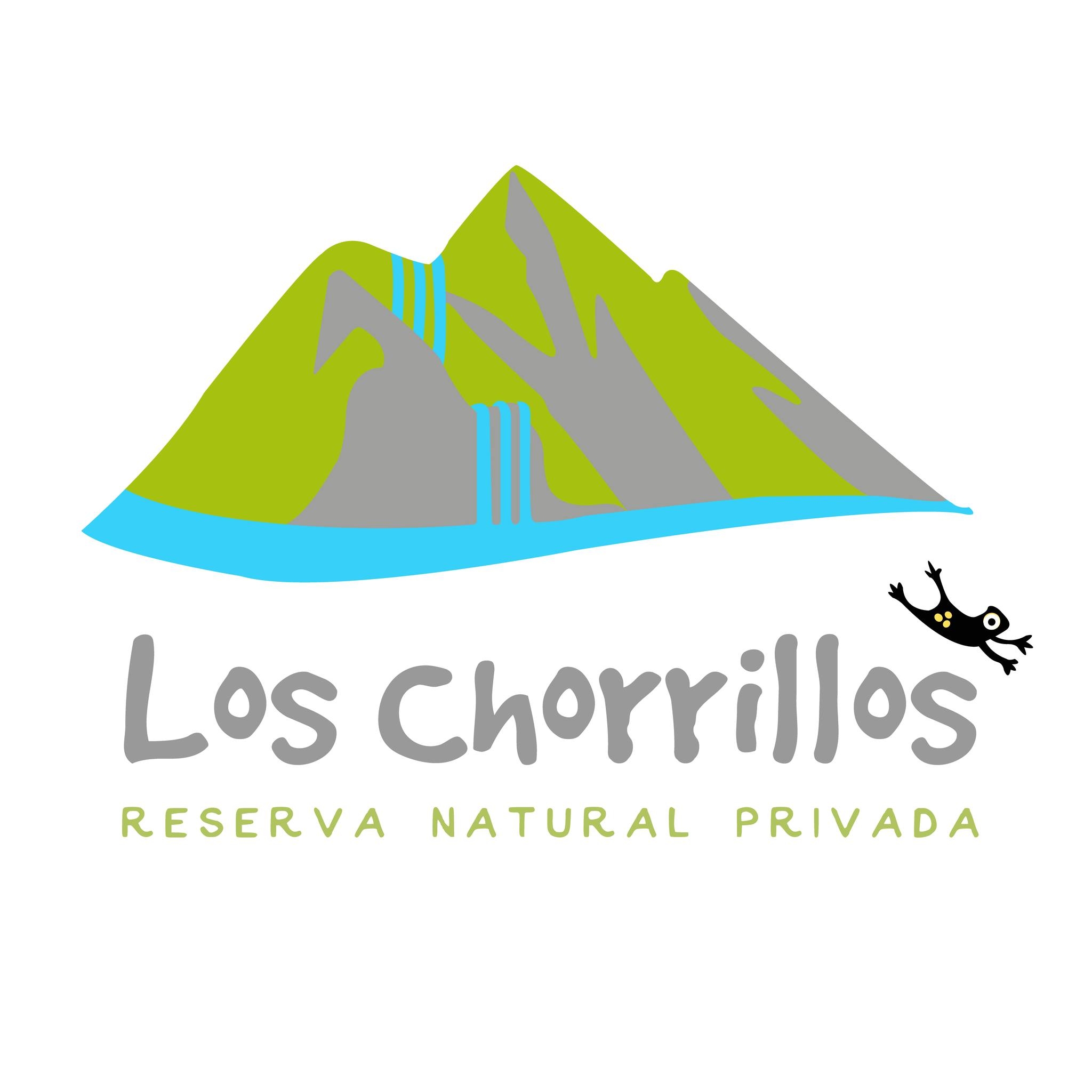 Amantes de las aves: ¡llega un nuevo Global Big Day! 🦅🔭 🐦‍⬛ Este sábado ...