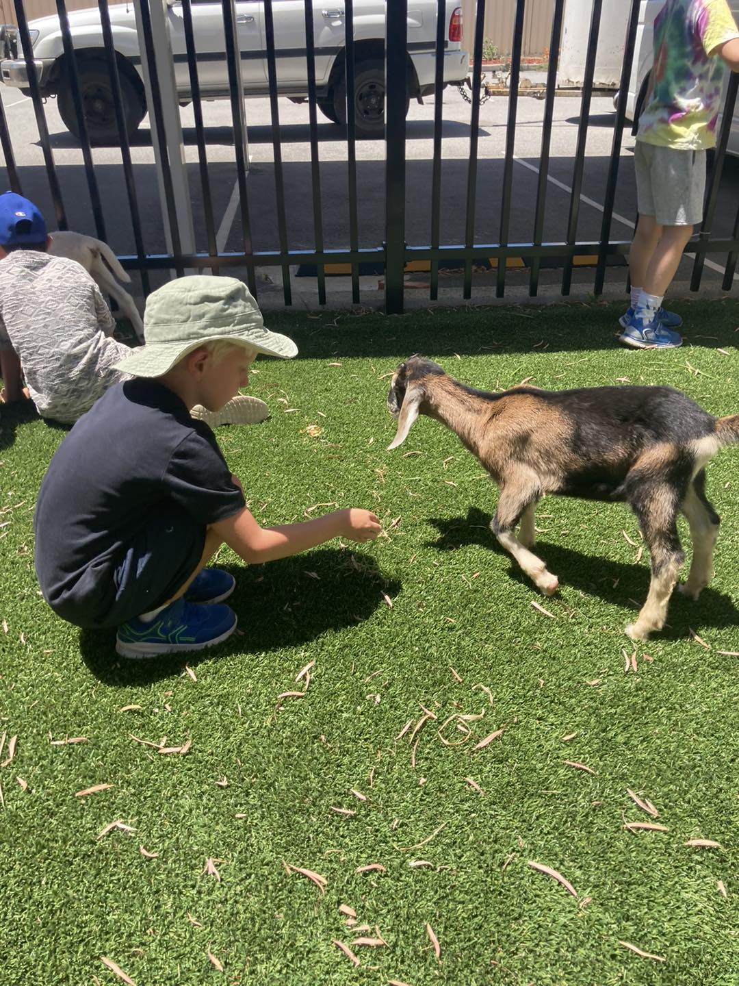 Manglesii Early Learning | Perth WA