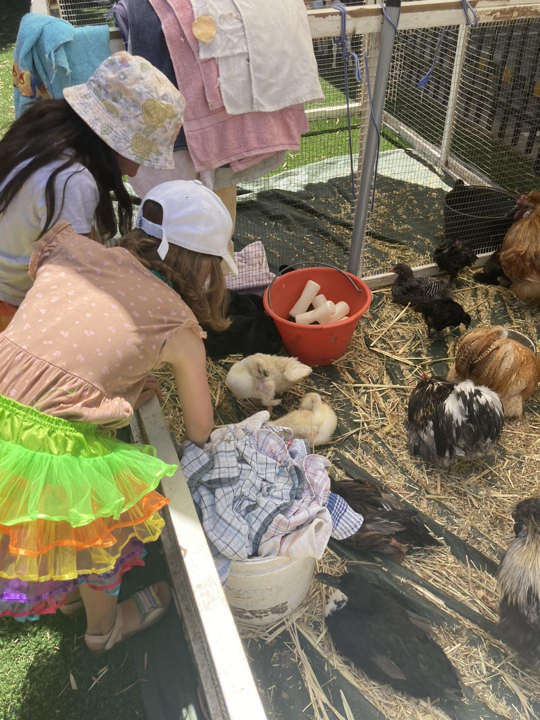 Manglesii Early Learning | Perth WA