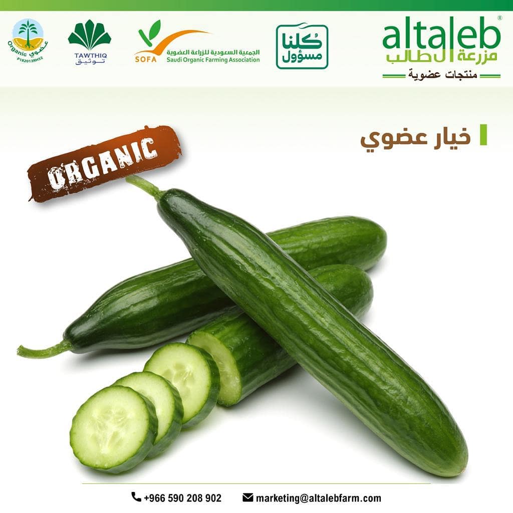 واثق من نفسه عاطفي هناك منتجات عضوية سعودية Oazis Kiten Com