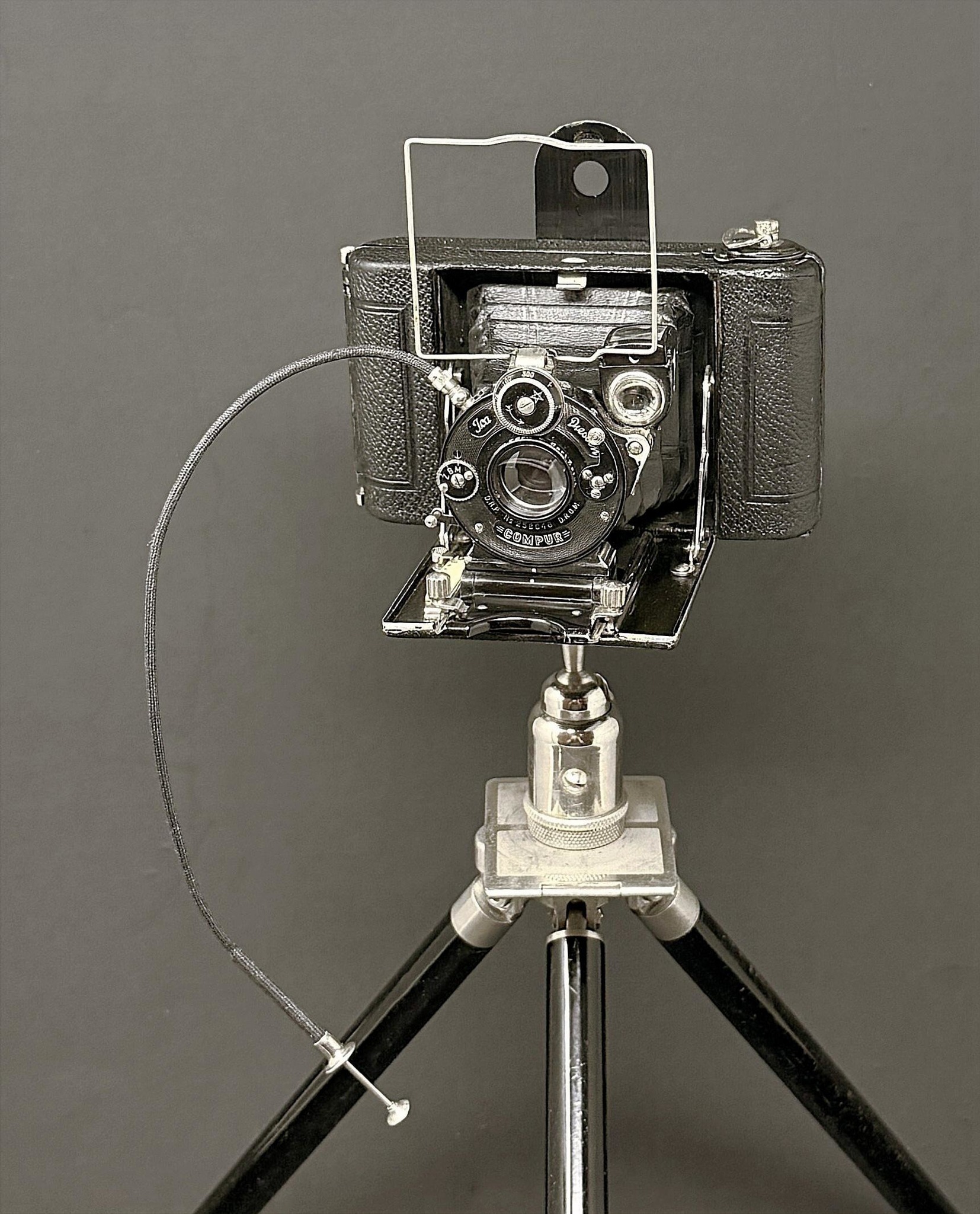 Ica Ideal 225 large format camera with Zeiss Jena Tessar lens