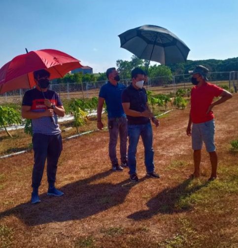 Imus Mayor Maliksi and Engr.... - SCI Organic Farms | Facebook