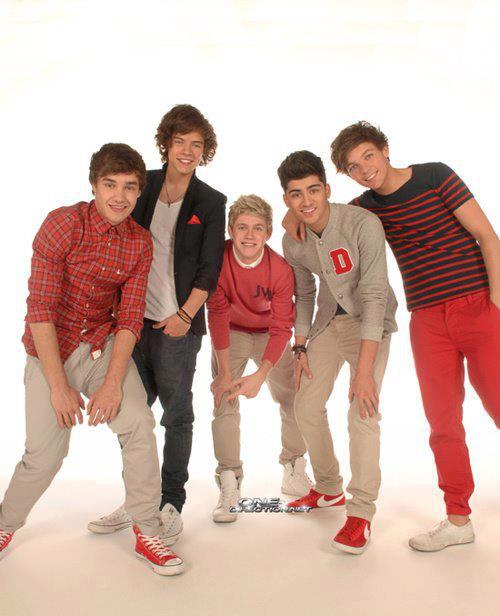 Hi... - Hi i'm Kevin The Pigeon and i love One Direction ∞