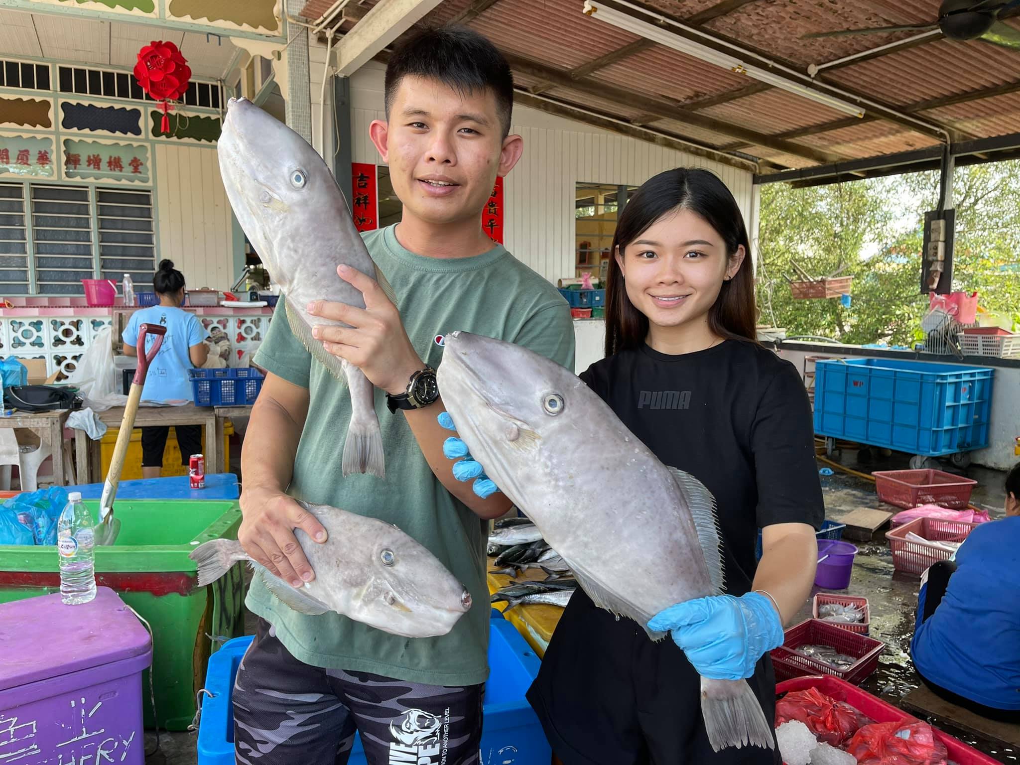 Mr Kampung 渔村先生 - 大家每次抢不到的鸡肉鱼爱情鱼‼️ 等下4:30pm不怕你抢不到只怕你不要抢🤣🦐🦀️🦐🦞 | Facebook