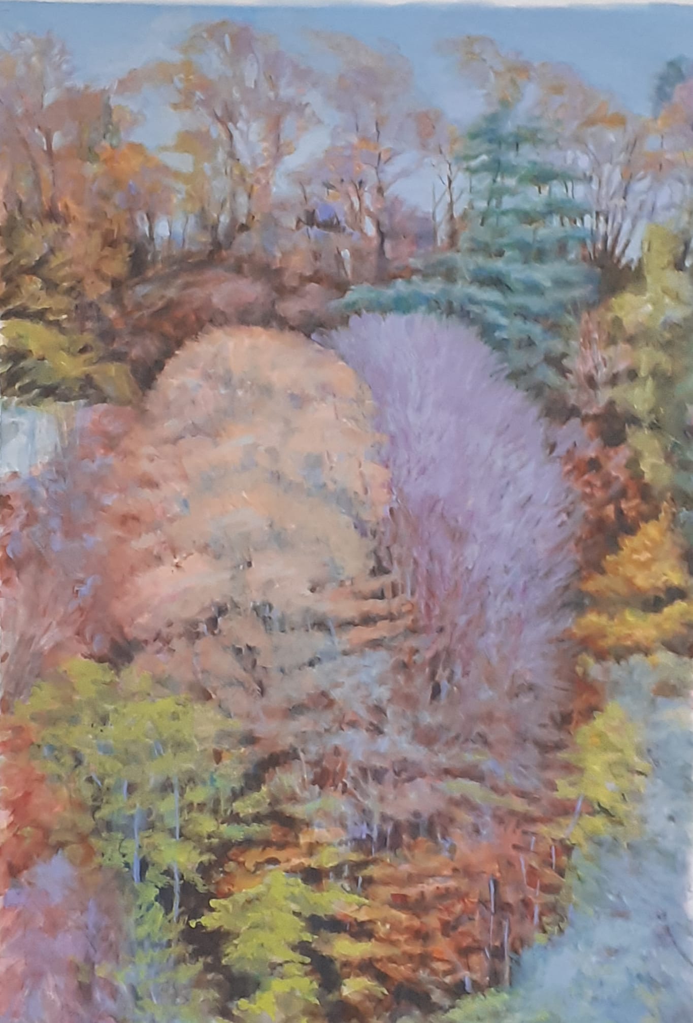 Roderick Sutterby