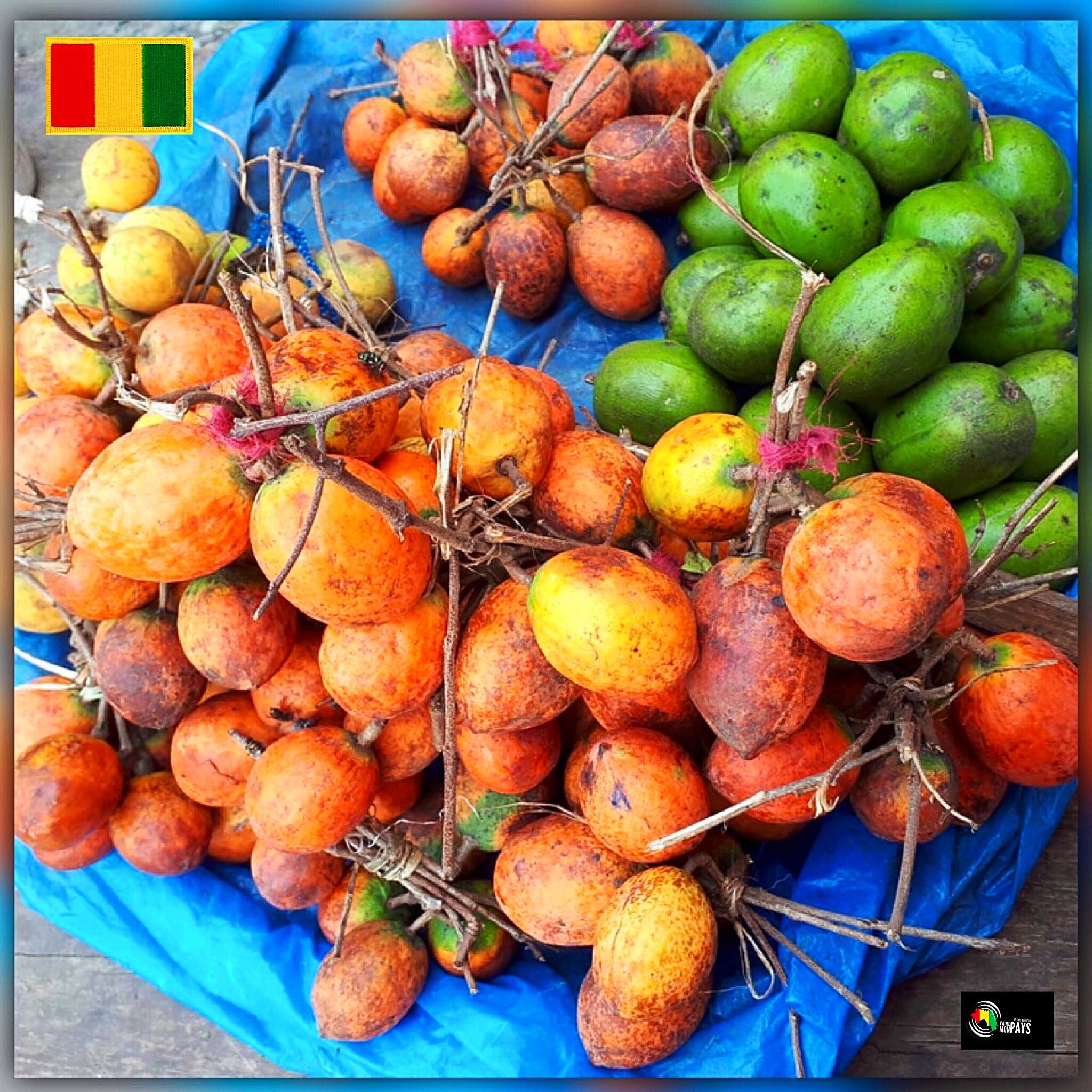 Les Magnifiques 𝐉𝐄 𝐒𝐔𝐈𝐒 𝐆𝐔𝐈𝐍𝐄𝐄𝐍 𝐄𝐓 𝐉 𝐀𝐈𝐌𝐄 𝐌𝐎𝐍 𝐏𝐀𝐘𝐒 Facebook