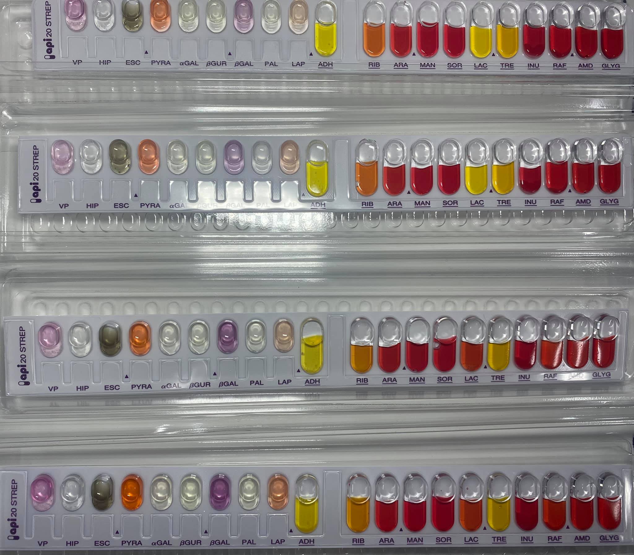 WF Quality Labs water & food analysis