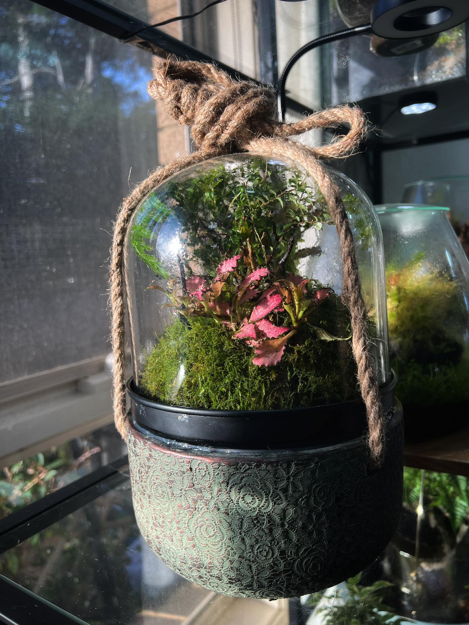 Modern-rium - Option for a hanging indoor plants? I glue...