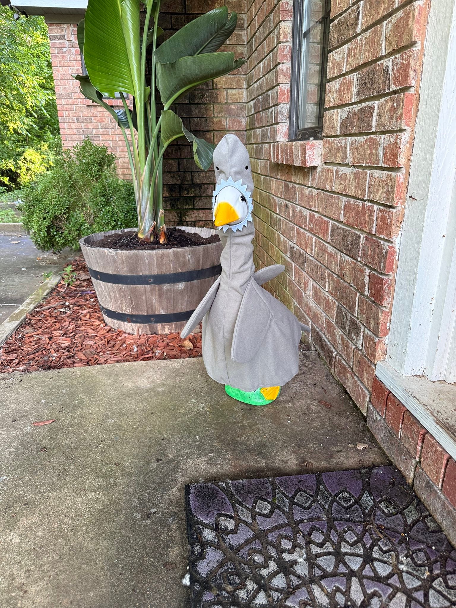 The Porch Goose Club of America | Those looking for a theme right now ...