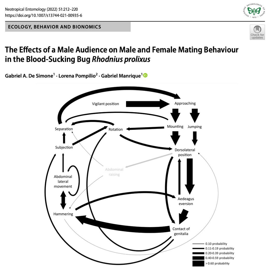Neotropical Entomology - The Effects of a Male Audience on Male and ...