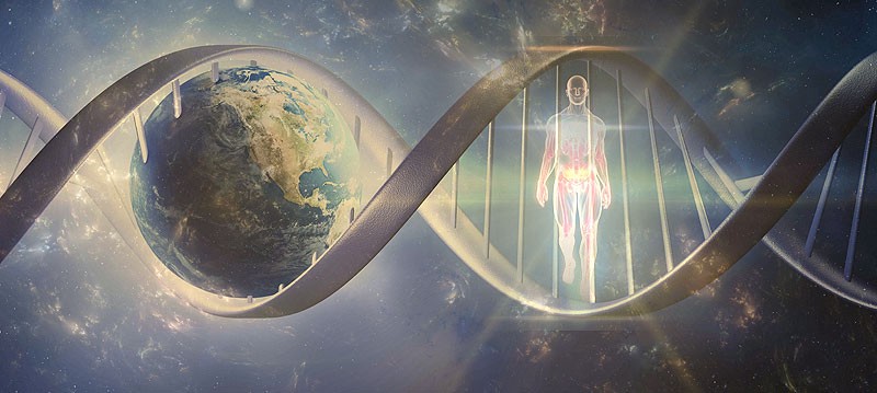 The Immortality Project