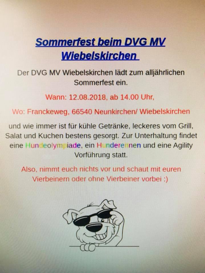 Dvg Mv Wiebelskirchen Facebook
