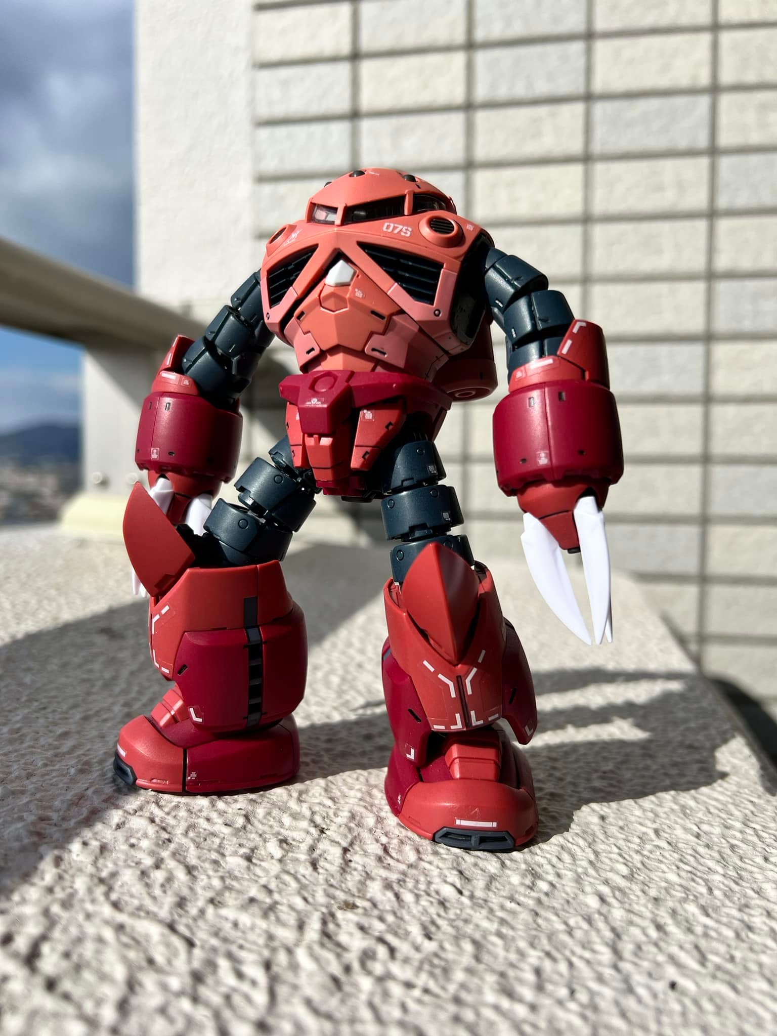 RGズゴック シャアカラー ゲート処理➕スミ入れ➕デカール➕つや消し