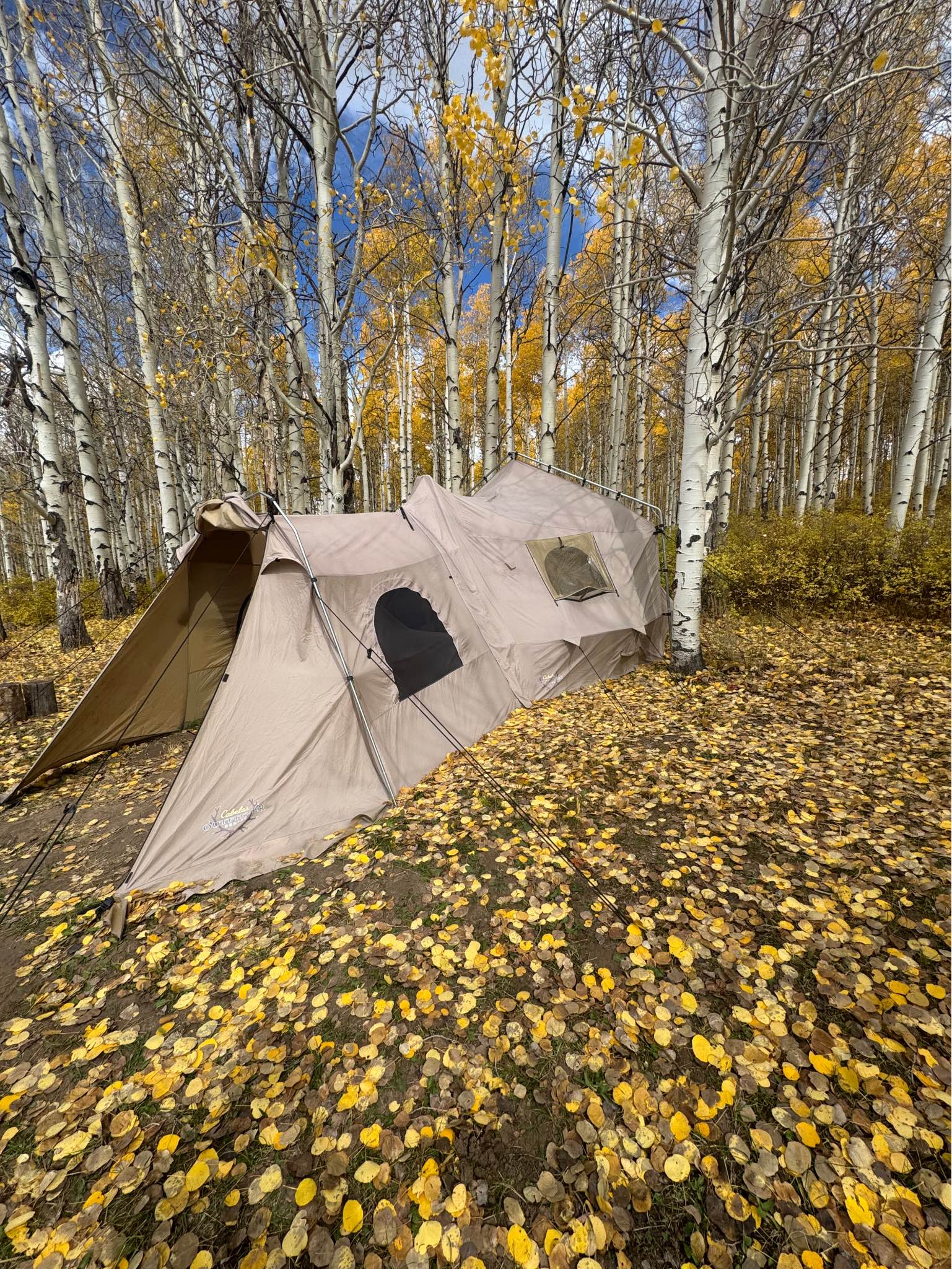 hangmat tent Amok Draumr 5.0 The Haven Safari Waterproof Color Frame:Blu China Manual Sigma BC 506 trekking-pole-addon-single