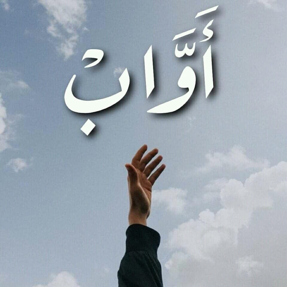 اواب محمد علي - Awab Mohammed Ali