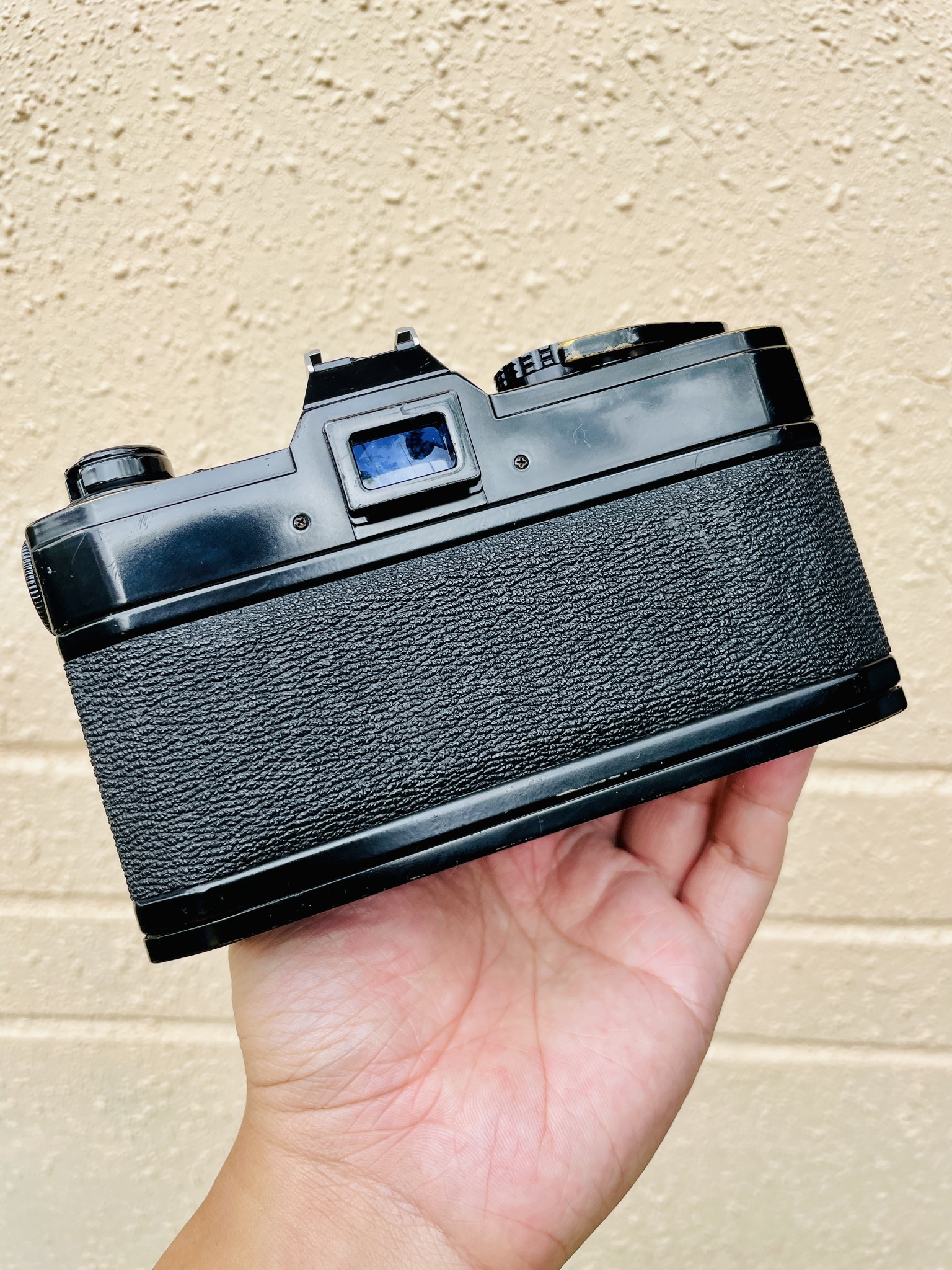 Testing Canon FTB QL with 50mm lens