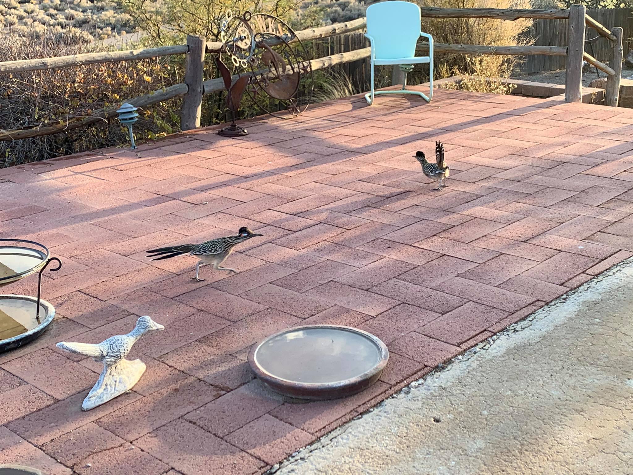 The Roadrunner Project