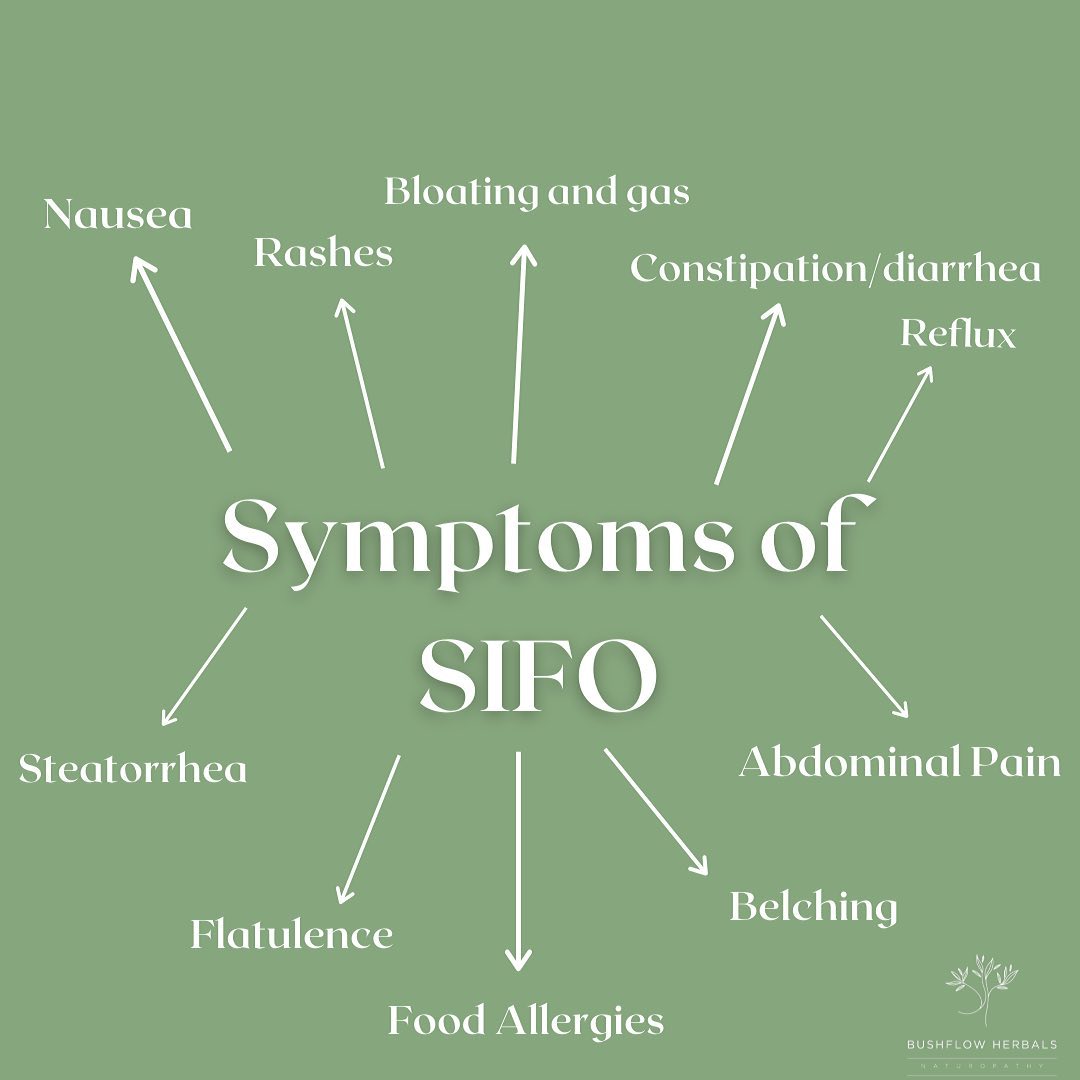 What is SIFO? SIFO stands for small... - BushFlow Herbals