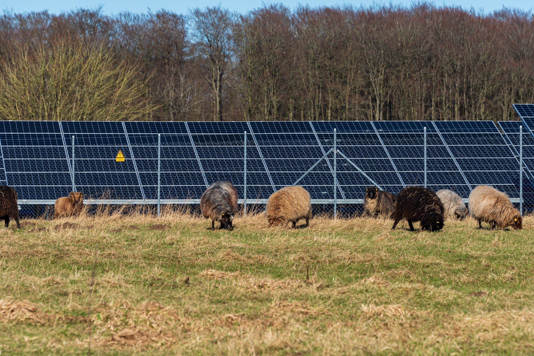 Solar Provider Group NL | Utrecht