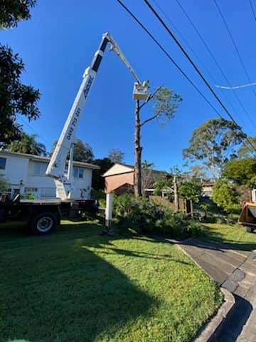 Vince's Tree Services