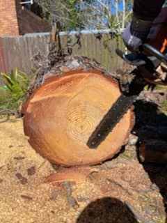 Vince's Tree Services
