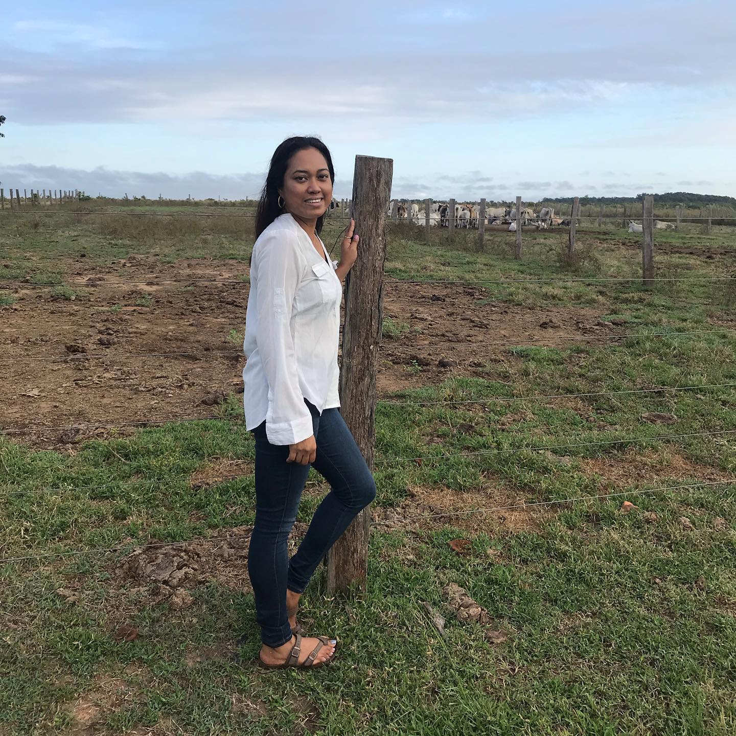 Visit Guyana - Learning all about ranch life @waikinranch | Facebook