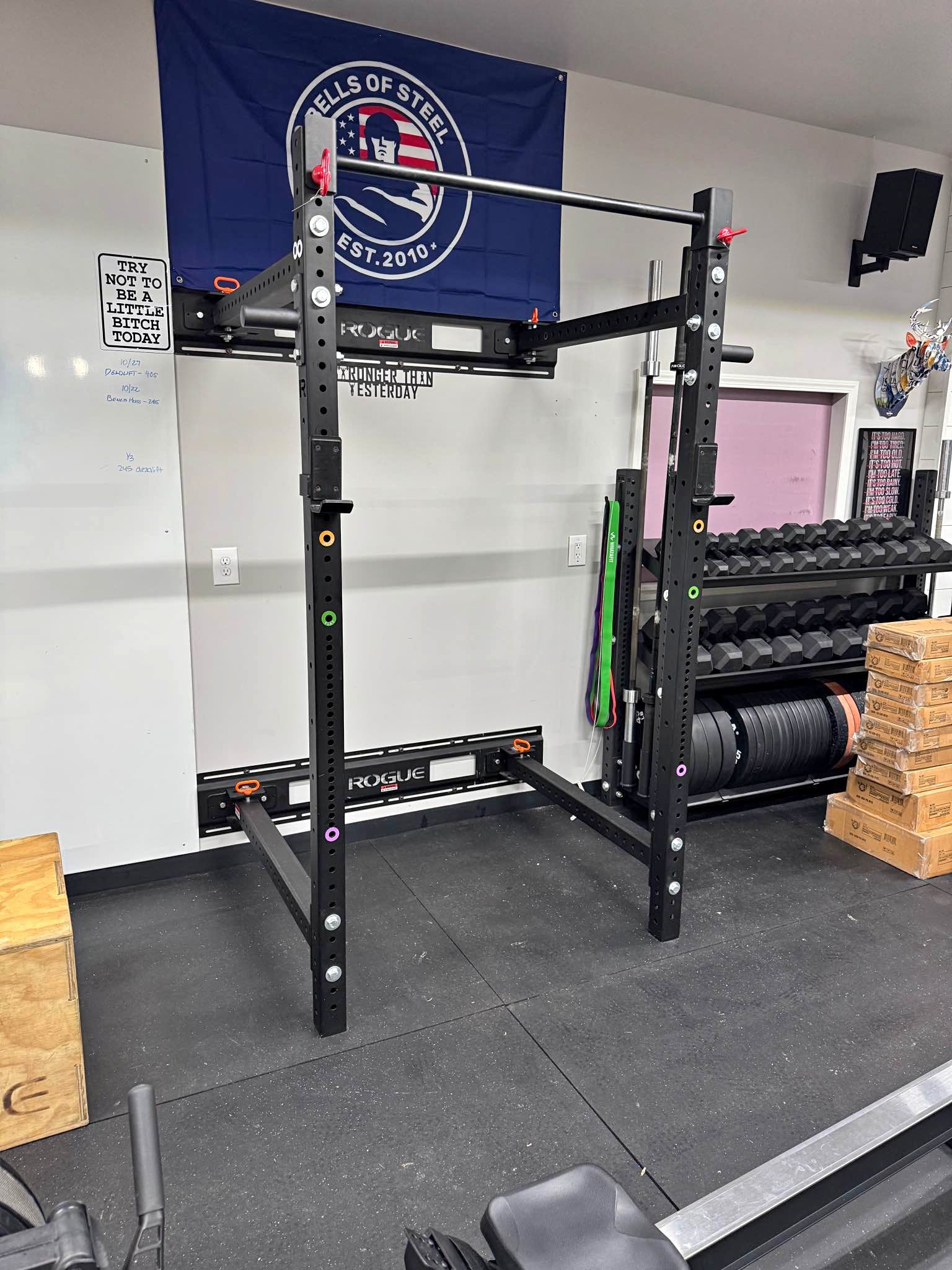 Rogue Squat Rack - Weight Lifting Machines & Racks - Battle Ground ...