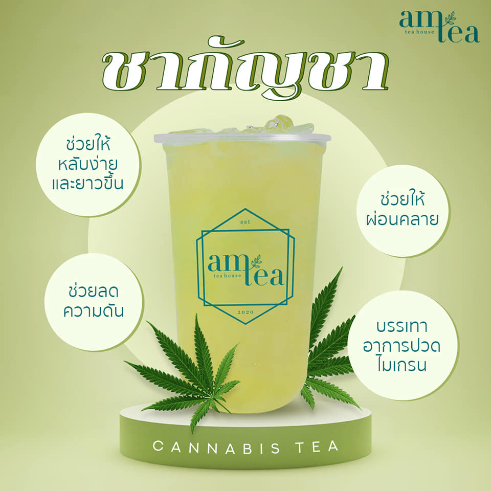 Am Tea Thailand - #ชากัญชา 💚 เอาใจสายเขียว... | Facebook