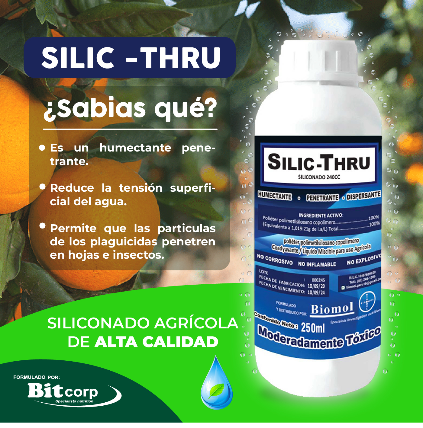 Bit Corp Linea Nutricional