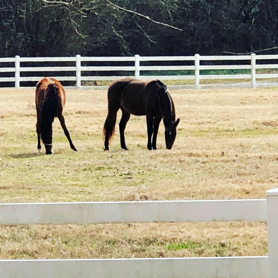 The Stables at Riesen Ranch | Senoia GA